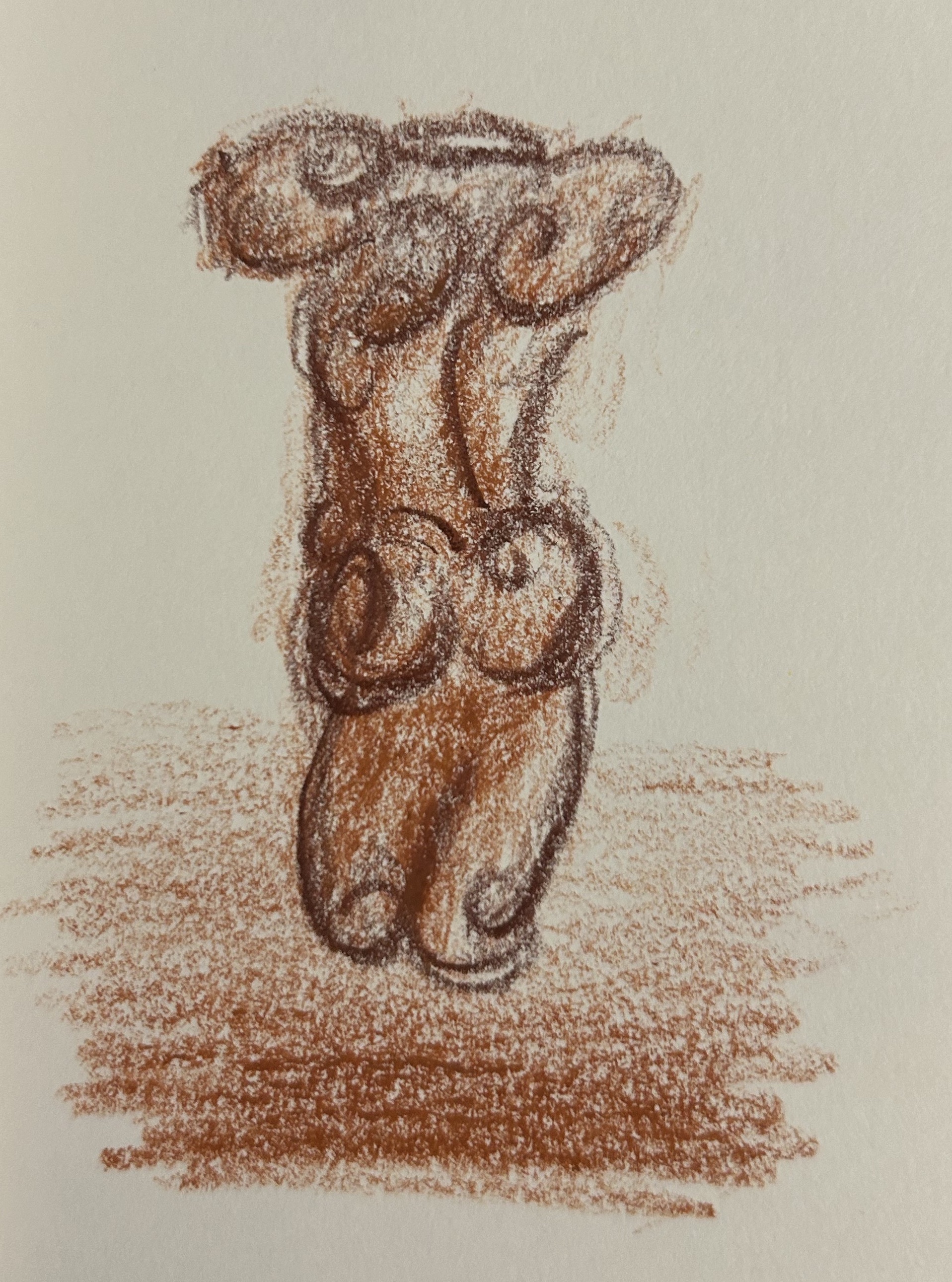 Curved Torso
