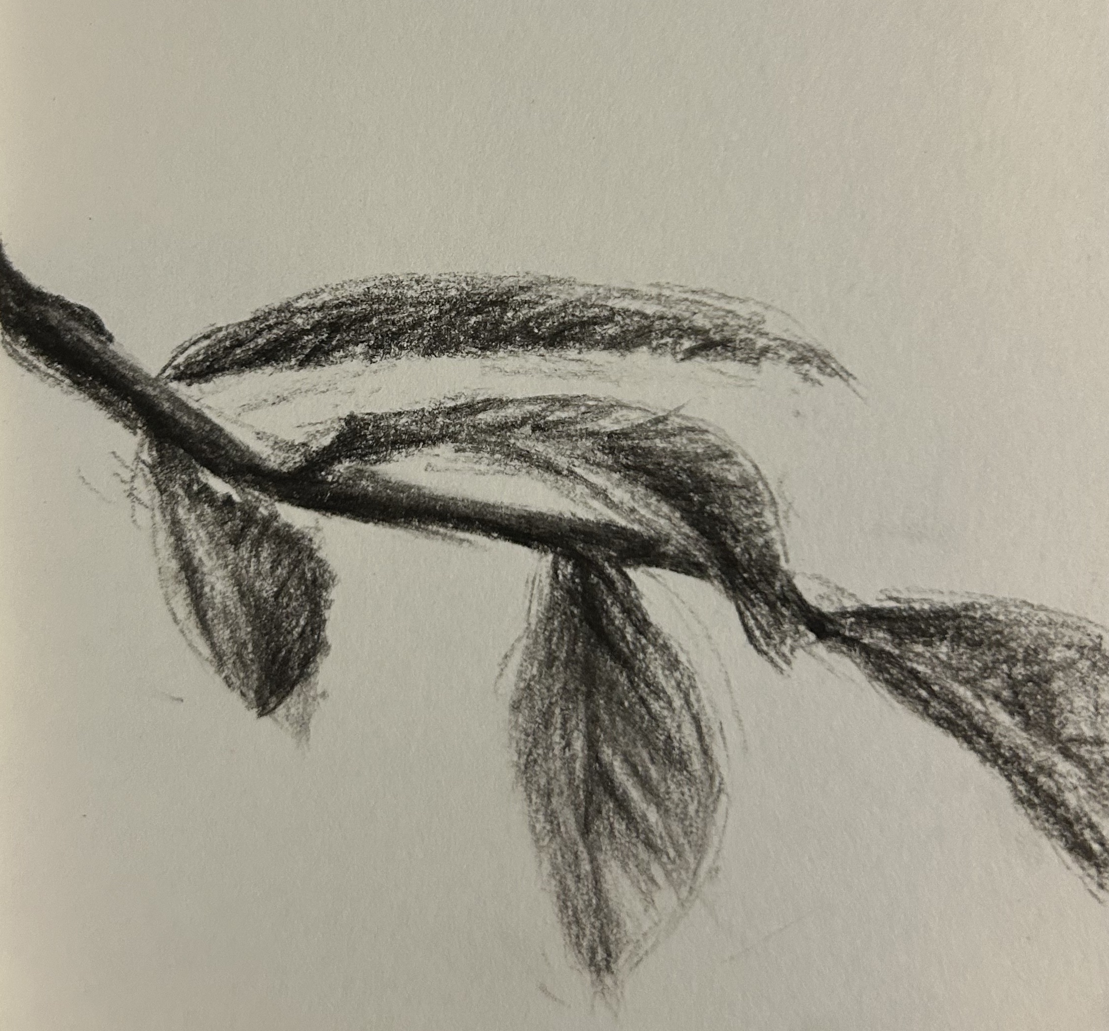 Simple tree branch